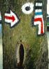 2004_Plock 1